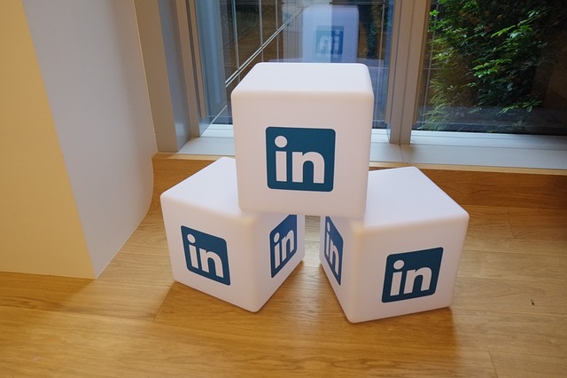 linkedin-689760_640